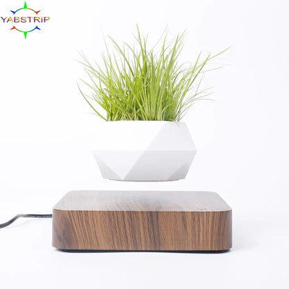 Levitating Air Bonsai Pot Rotation Flower